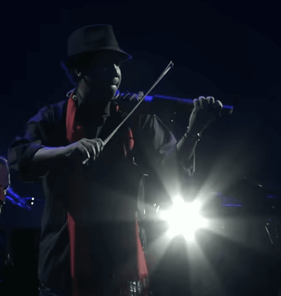 Violin